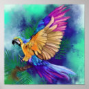 Search for colourful parrot posters Watercolor