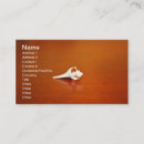 Search for shells business cards Sea shell