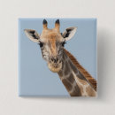 Search for giraffe pictures badges Wild animals