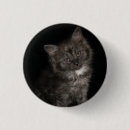 Search for cat face badges Cute