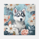 Search for huskies magnets Cute
