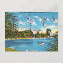 Search for gull postcards Florida