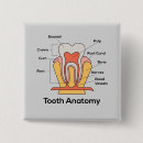 Search for tooth badges Dental