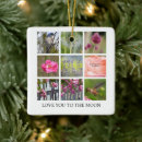 Search for hummingbird christmas tree decorations Floral