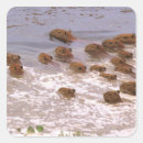 Search for habitat stickers Environment