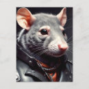 Search for rat postcards Rodent