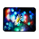 Search for sparkle lights magnets Sparkling