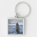 Search for humpback whale key rings Sea