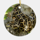 Search for burmese christmas tree decorations Pet