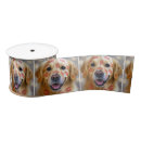 Search for golden retriever ribbon Red