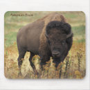 Search for a bison electronics Animal