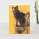 Search for knitting birthday cards Cat