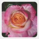 Search for thinking of you rose stickers Floral