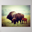 Search for state native posters Nature