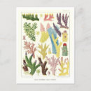 Search for great barrier reef postcards Illustration