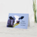 Search for funny cow jokes birthday cards Cows