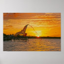 Search for largo posters Sunset