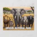 Search for kruger national park Travel
