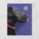 Search for black lab postcards Cute dog