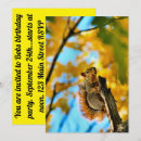 Search for furry invitations Rodent
