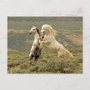 Search for cathy postcards Jaynes gallery