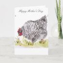 Search for hens cards Chicken