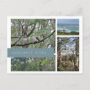 Search for forrest postcards Landscape
