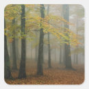 Search for foggy stickers Fall