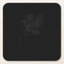 Search for cool coasters Raven