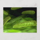 Search for microb postcards Magnification