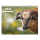 Search for goat calendars Animal