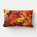 Search for red maple Fall season