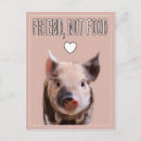 Search for cute pig postcards Vegan