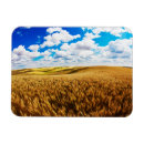 Search for ripe magnets Agriculture