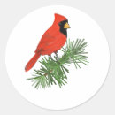 Search for cardinal birds stickers Animal