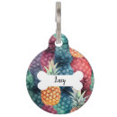 Search for pineapple pet tags For pets