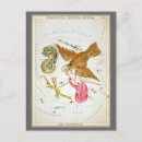 Search for celestial map postcards Star chart