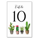 Search for succulent table cards Floral