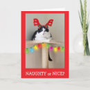 Search for funny naughty christmas cards Kitty