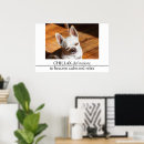 Search for funny dog pictures posters Cute