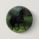 Search for moving picture badges Horse