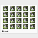 Search for white bunny rabbit stickers Animal