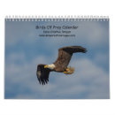 Search for birds of prey calendars Hawk