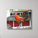 Search for rooster chicken canvas prints Farm