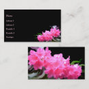 Search for azalea business cards Bloom