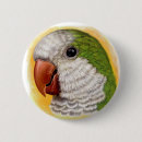 Search for wild life badges Bird