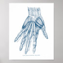Search for vintage hand anatomy art Medical