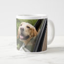Search for ride to live mugs Cute
