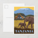 Search for zanzibar postcards Watercolor