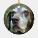 Search for pointer dog christmas tree decorations Canine